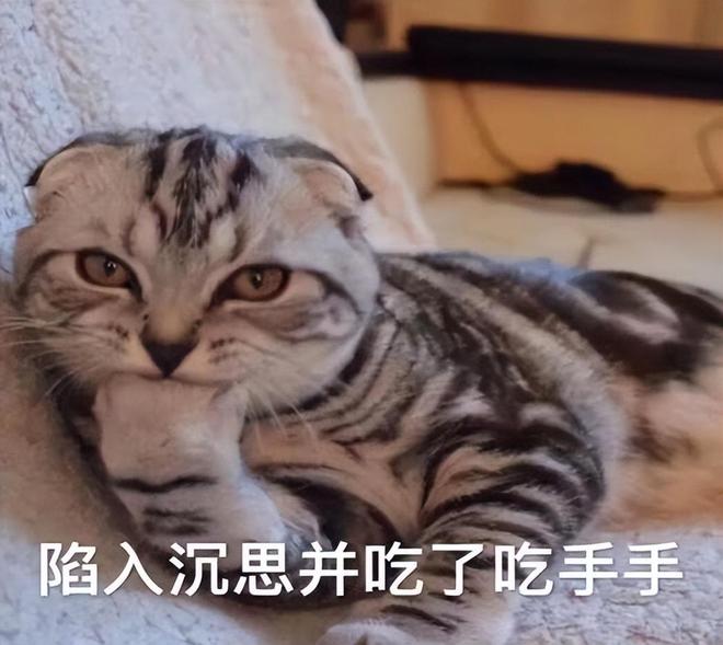 沃尔沃保养维修费用高吗?省心好开越来越多人选择它!开云 开云体育