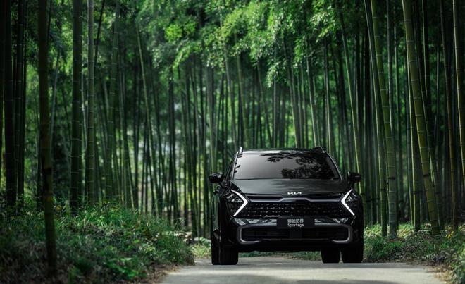 开云体育 开云平台新能源加速再快在“四大短板”面前也不值一提车主：后知后觉(图12)