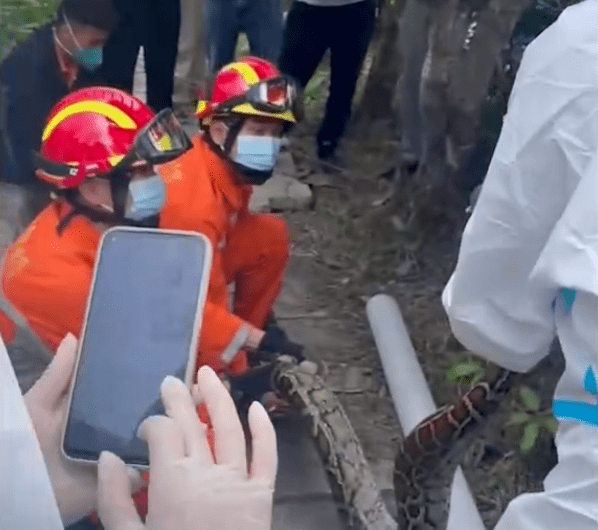 开云体育 Kaiyun.com 官网入口修理店一场大火留下3具遗体老板和妻子遇难!这些电动车规定涉及多个省市、多个方面!(超详细);日本民众要求返还从中国掠夺的文物
